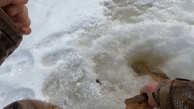 ПЕРВОЕ ЗАКРЫТИЕ ЗИМНЕЙ РЫБАЛКИ НА РЕКЕ ЕТЫ-ПУР! РЫБАЛКА ПО ОТКРЫТОЙ ВОДЕ УЖЕ СНИТЬСЯ, А ТУТ ЛЁД)))!