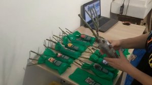 #Розы из Светофора#Хранение#