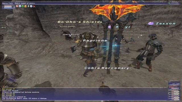 Final Fantasy XI - Wings of the Goddess - A Feast for Gnats смотреть онлайн