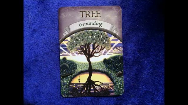 Short'n'Sweet Weekly Oracle Reading - 25th - 31st May смотреть онлайн