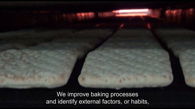 Save gas in bakery ovens, less Co2, get expert recommendations: AMF sustainable oven service смотреть онлайн