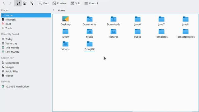 Dolphin File Manager In LinuxMint 18.2 | KDE In LinuxMint