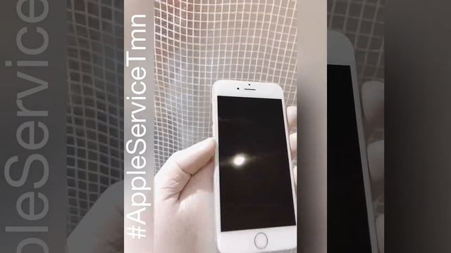 Замена только стекла Apple iPhone 6 в Тюмени смотреть онлайн