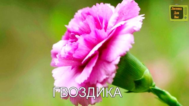 100 слов для детей 1-3 года - Развивающие мультики для детей.ВТОРАЯ ЧАСТЬ смотреть онлайн