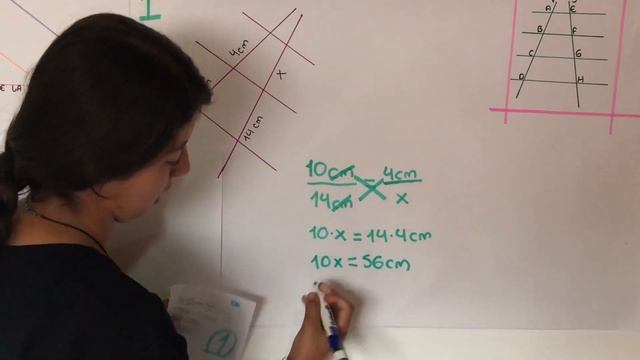 9-1 María Sofía Giraldo Teorema de Thales смотреть онлайн