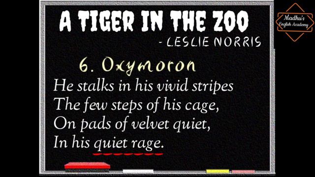 Class 10 || CBSE || Poem - 3 || A Tiger in the Zoo || Vlog 26 || смотреть онлайн