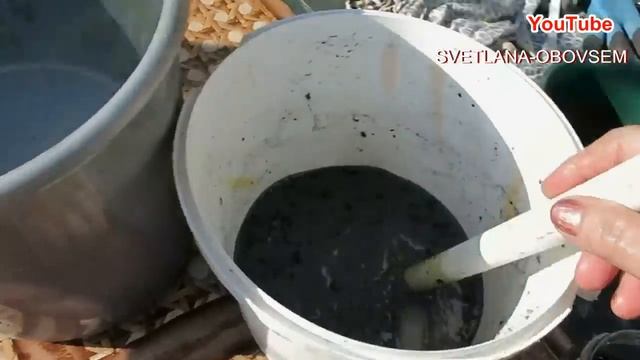 СУПЕР ПОДКОРМКА во ВРЕМЯ ЦВЕТЕНИЯ КЛУБНИКИ..ДЛЯ УРОЖАЯ КРУПНЫХ,СЛАДКИХ ЯГОД смотреть онлайн