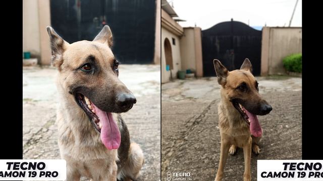 TECNO Camon 19 Pro vs 19 Pro 5G смотреть онлайн