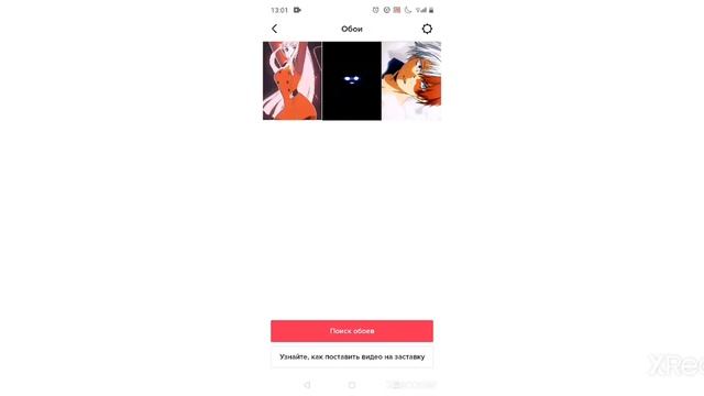 как сделать живые обои из tiktok смотреть онлайн