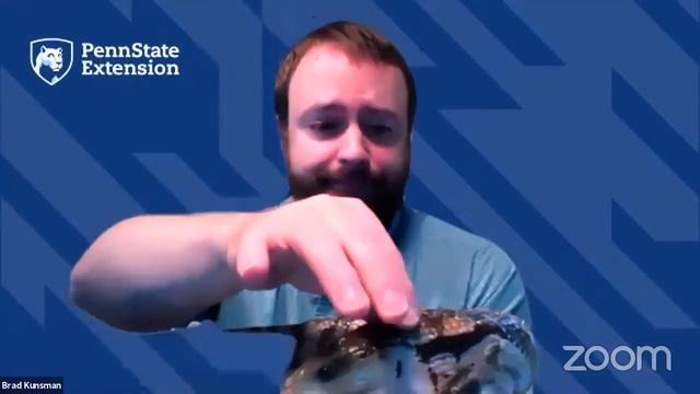Reptiles and Amphibians - Drawing Distinctions with Captive Creatures смотреть онлайн