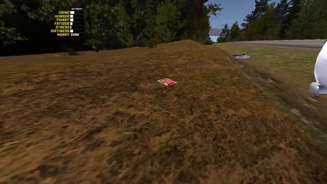 FUI BUSCAR BODY KIT DE PAPELÃO E DO NADA BATI DE FRENTE COM O CARRO VELHO - MY SUMMER CAR смотреть онлайн