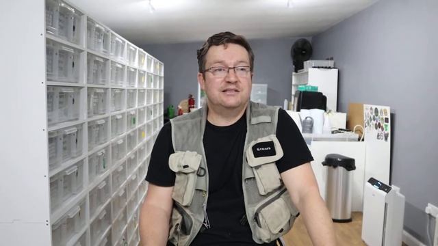 "Professor Balls" detailed "take" on his ball python breeding cycle ! смотреть онлайн