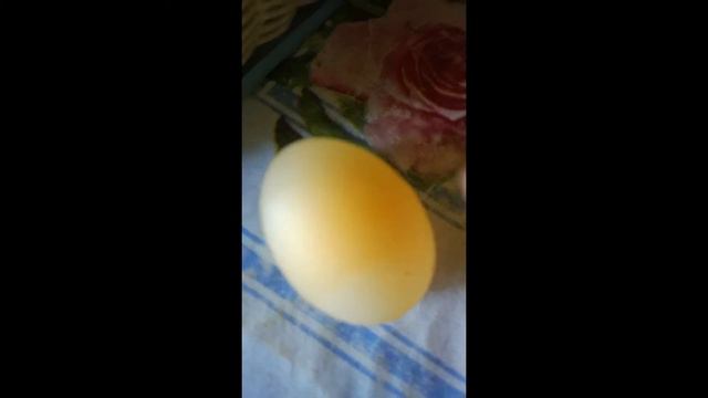 Egg without shell / Thin protective layer смотреть онлайн