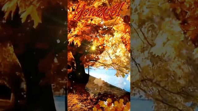 Доброго утра, приятного дня