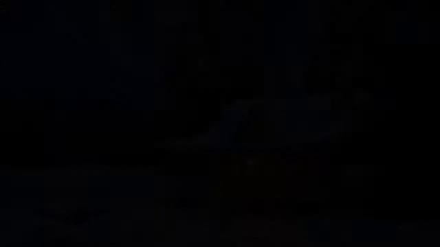 природа ковер