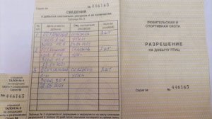 Заполнение разрешения на охоту