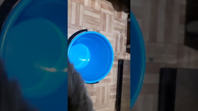 За 1 миллисекунду избавиться от колорадского жука на картошке навсегда! смотреть онлайн