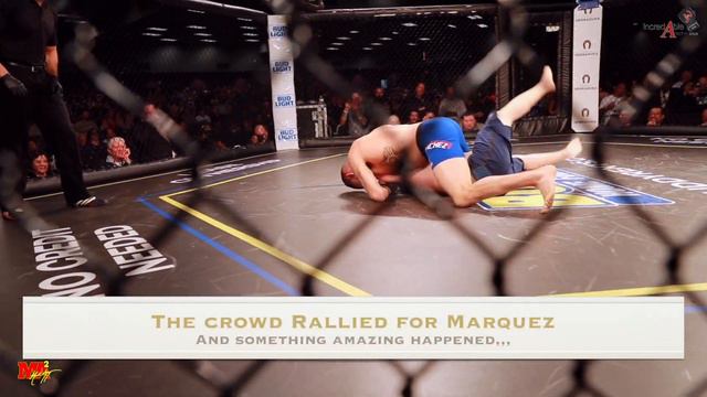Diego Sanchez vs Isaac "Shermanator" Marquez смотреть онлайн