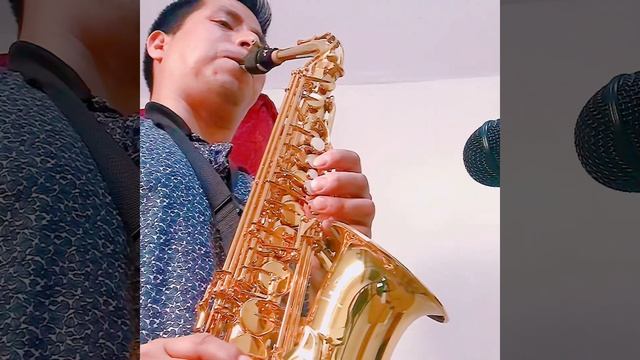 Aprobando voquilla vandoren jumbo Java смотреть онлайн