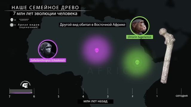 НЕОГЕНОВЫЙ ПЕРИОД. Развитие жизни на Земле. 16 серия | Наступление степей