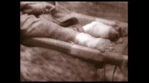 Моя Великая Война