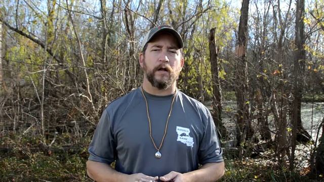 SP 05 Squirrel Call Kit смотреть онлайн