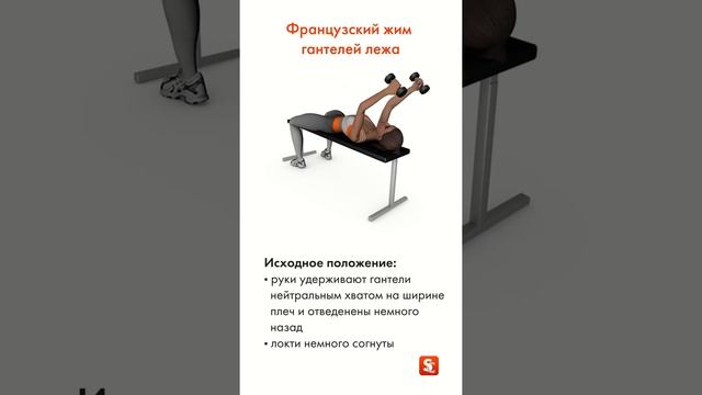 Французский жим гантелей лежа смотреть онлайн