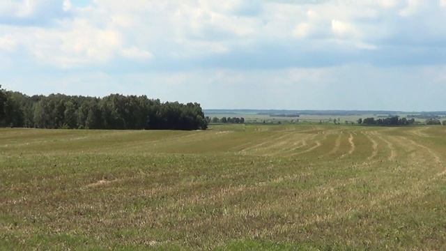 Лесостепь смотреть онлайн