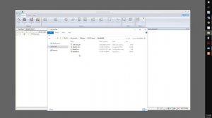 Assigning IP address via DHCP Server using tftpd64