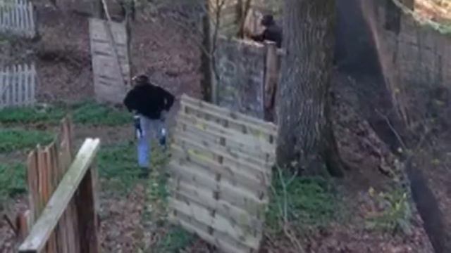 Farbiger Wald смотреть онлайн