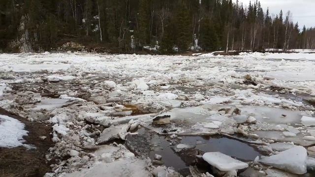 ледоход шарью 3е июня 2017 часть 2 смотреть онлайн