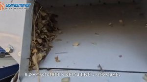 Оборудование для очистки семян тыквы/Машина для чистки