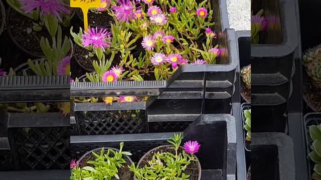 Ярмарка Поделок в Бельгии/Блошиный рынок/Kunstmarkt смотреть онлайн