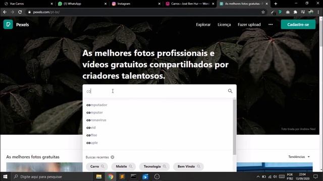 WordPress API + Vue.js смотреть онлайн