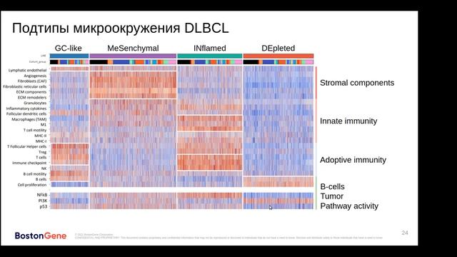 N.Kotolov "Clinical, biological subtypes of B-cell lymphoma by microenvironmental signatures." смотреть онлайн