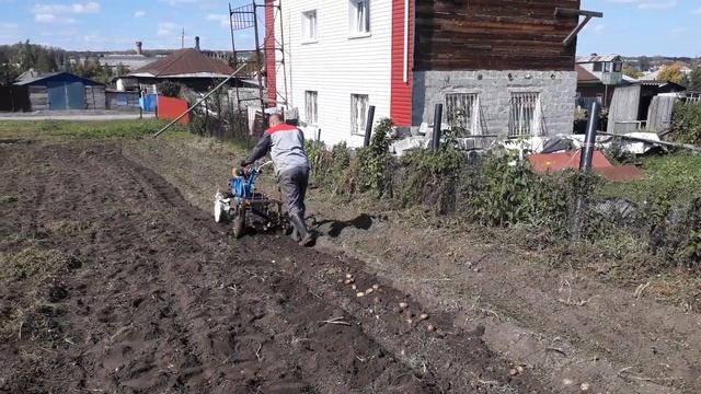 Мотоблок Нева мб-2 Картофелекопалка смотреть онлайн