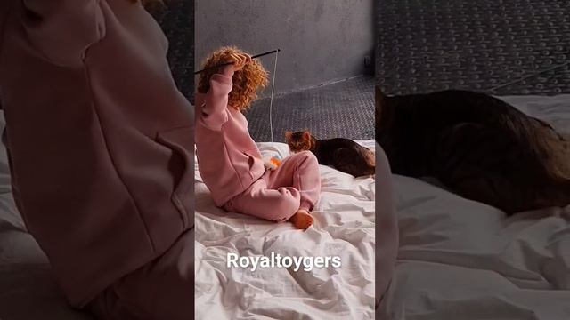 Тойгер котёнок с девочкой моделью Катей toyger смотреть онлайн