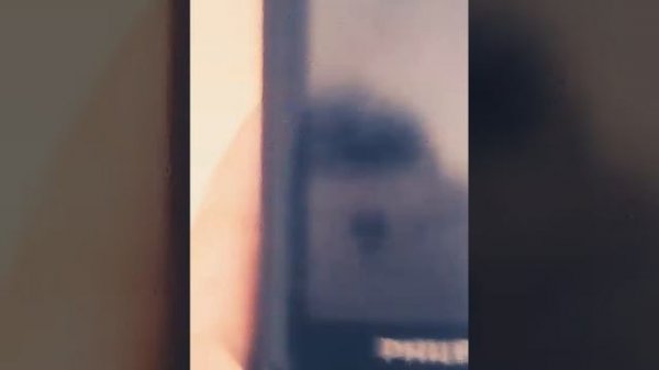 Странный ответ от Google Переводчика