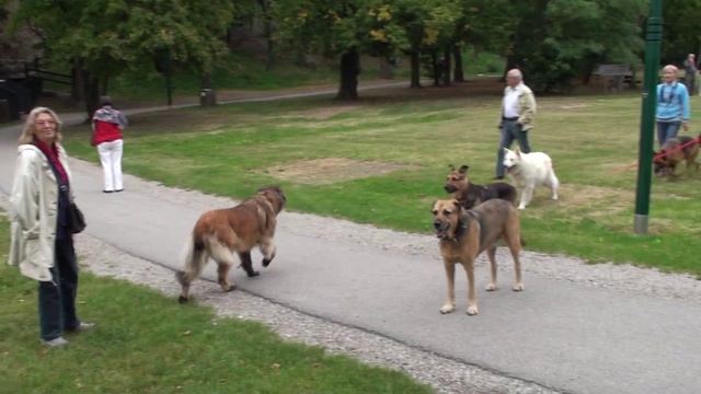 Прага, Вена, Будапешт, Братислава 238 смотреть онлайн