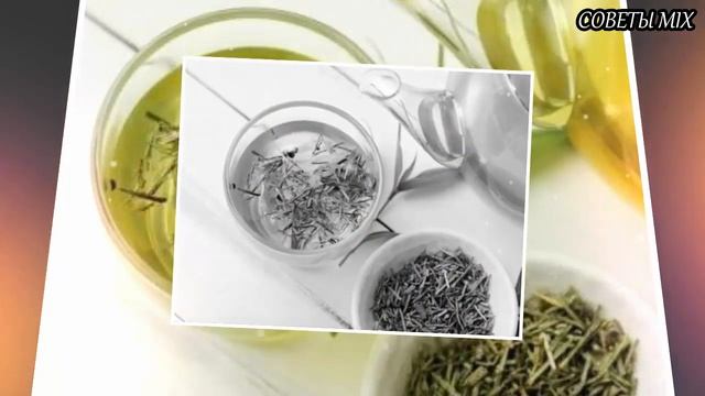Зеленый чай Топ 5 причин пить зеленый чай каждый день с огромной пользой для здоровья и долголетия смотреть онлайн