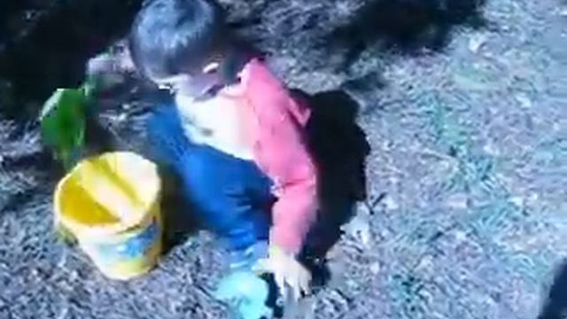 Вовка в парке. смотреть онлайн