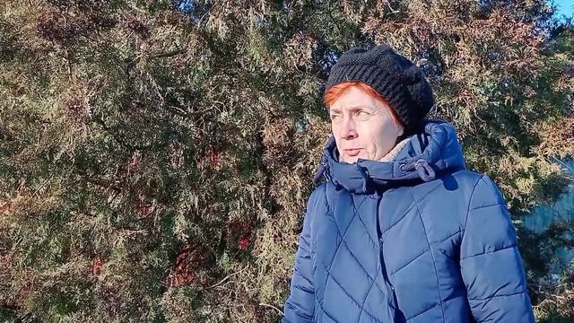 Утро в Славянске, 24 января 2023 смотреть онлайн