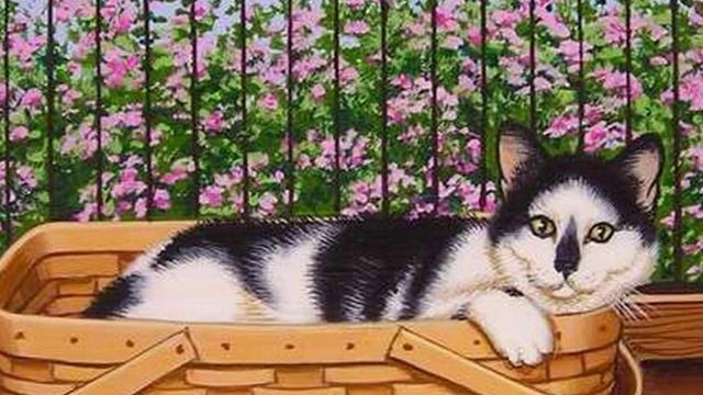 Автор ролика Виталий Тищенко (Ростов-н/Д). Художница Сью Уолл (Sue Wall). Домашние питомцы