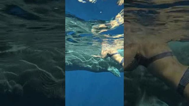 Маврикий. Mauritius. 毛里求斯。 смотреть онлайн