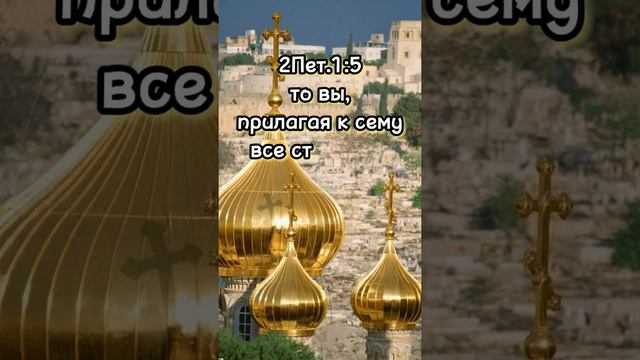 Апостол дня смотреть онлайн