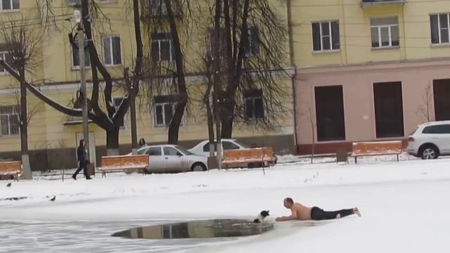 Обычный русский мужик в трениках спас собаку из проруби смотреть онлайн