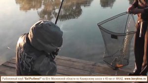 Платная рыбалка в Подмосковье недорого