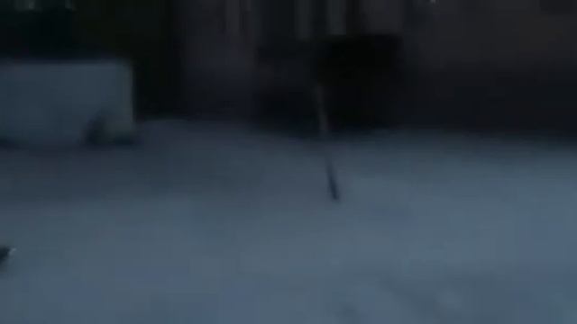 саратов дом призрак часть 9 ливневка смотреть онлайн
