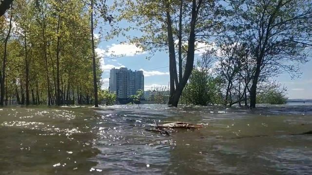 30 мая 2021. Красноярск. Енисей. Паводок смотреть онлайн