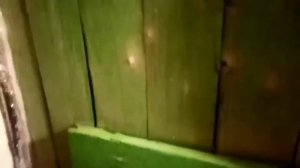 Перепела. Содержание перепелов зимой.Чем обогреть птицу.